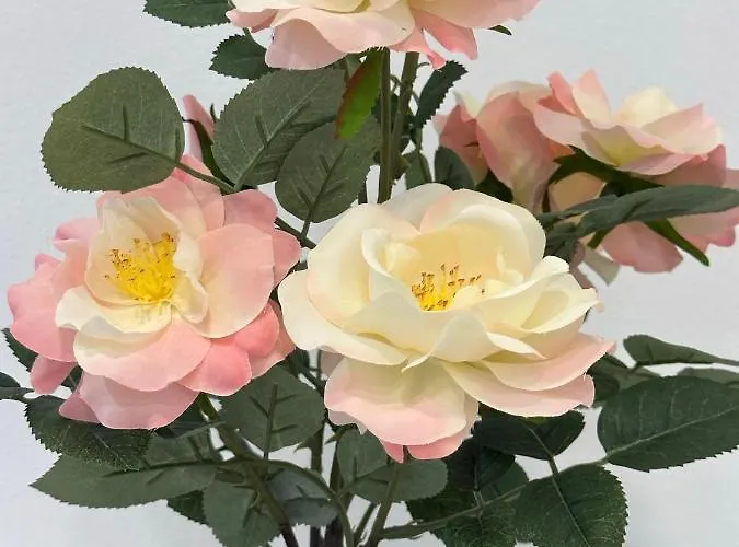 Royal Underground Apartamento *